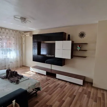 Apartment Apartament Madalina Motoianu *