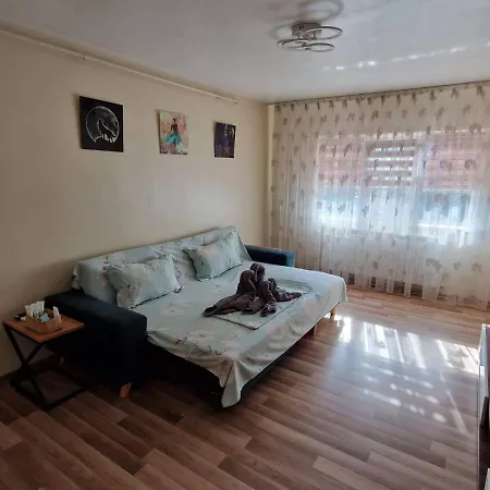 Apartment Apartament Madalina Motoianu