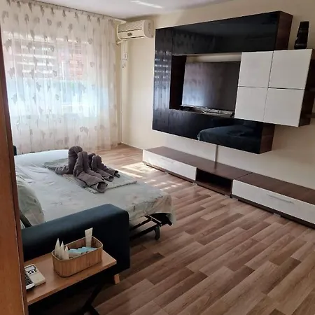 Apartament Madalina Motoianu Apartment