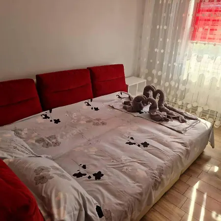Apartment Apartament Madalina Motoianu *